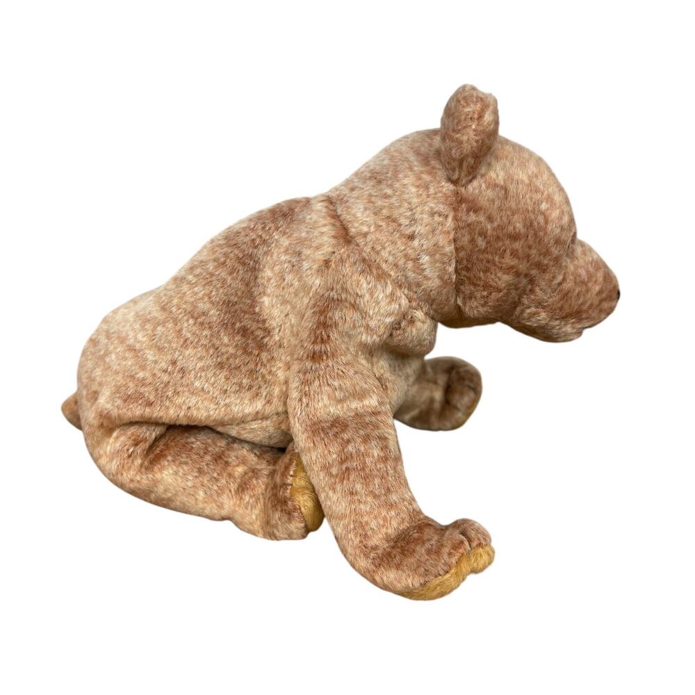 TY Beanie Baby - PECAN the Gold Bear (5.5 inch) - NWT Stuffed Animal Toy New - Picture 2 of 6